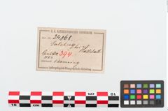 Etiketten zu Bronzeknotenarmreif (NHMW-PRAE-024868)